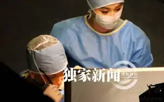 独家范冰冰王学圻情陷钢铁侠3
