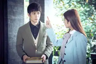 2016电视剧大盘点