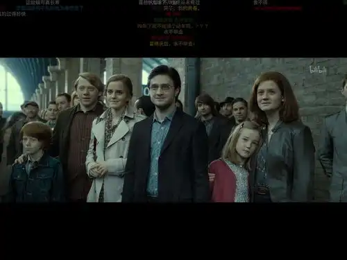 平凡的天选之子harry.james.potter
