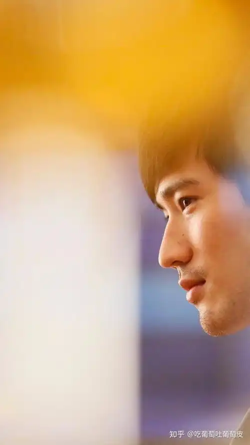 大家喜欢王沥川还是高以翔