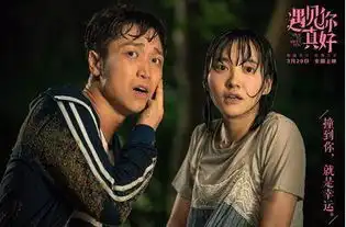 遇见你真好导演顾长卫青春是一个永久的话题