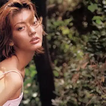 窈窕淑女,君子好逑