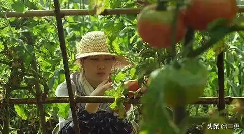 2020的最后两个月,靠这5部影视剧治愈所有不开心
