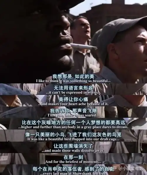 豆瓣第一,85观众给出5星好评,肖申克的救赎你看懂了吗
