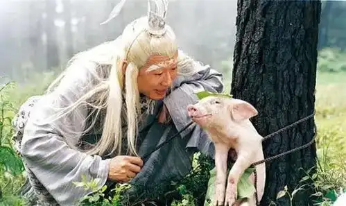 春光灿烂猪八戒两大配角聚首,孙兴满脸胡须,李立群精神好
