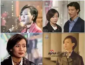 她是韦小宝七个老婆之一也曾与哥哥一起主演tvb剧集
