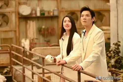 葵花夫妇产后首次合体上综艺,郭碧婷穿西装,向佐霸气搂妻太腻歪
