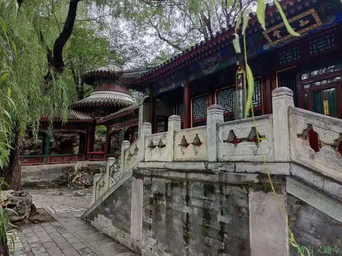 游三山五园之颐和园谐趣园,满池荷花别样的午后光影
