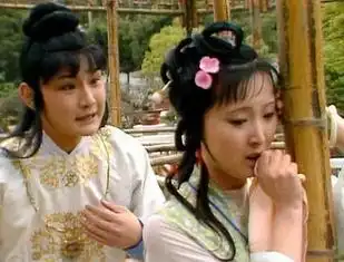 陈晓旭
