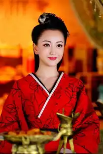 大汉情缘之云中歌剧照