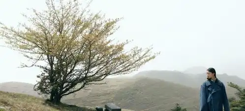 世上最奇特的树,树叶可以做裙子可以驱蚊虫,堪称全能
