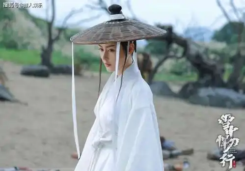 雪中悍刀行4大看点领9红颜云游江湖