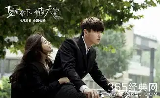 夏有乔木雅望天堂电影
