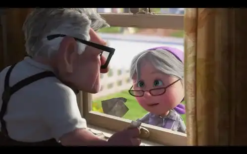 飞屋环游记有哪些戳你泪点的情节
