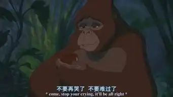 人猿泰山剧情介绍