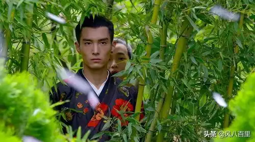 厉害了从太子妃升职记走出的盛一伦于朦胧郭俊辰爆发了
