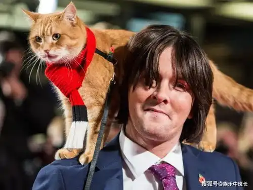 流浪猫鲍勃续集电影预告登场,与橘猫鲍勃共度的最后一个圣诞节