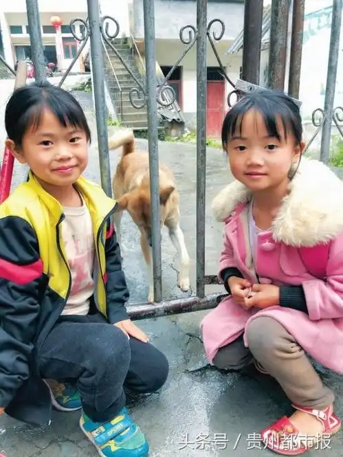 现实版忠犬八公