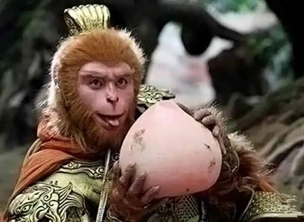 西游记的四种长生不老药,孙悟空吃过三种,最后一种不敢尝试