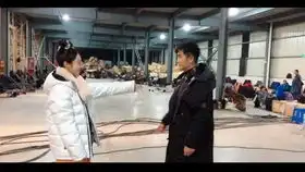 唐砖太子cp李承乾x辛月王文杰x于子洋特辑更新中
