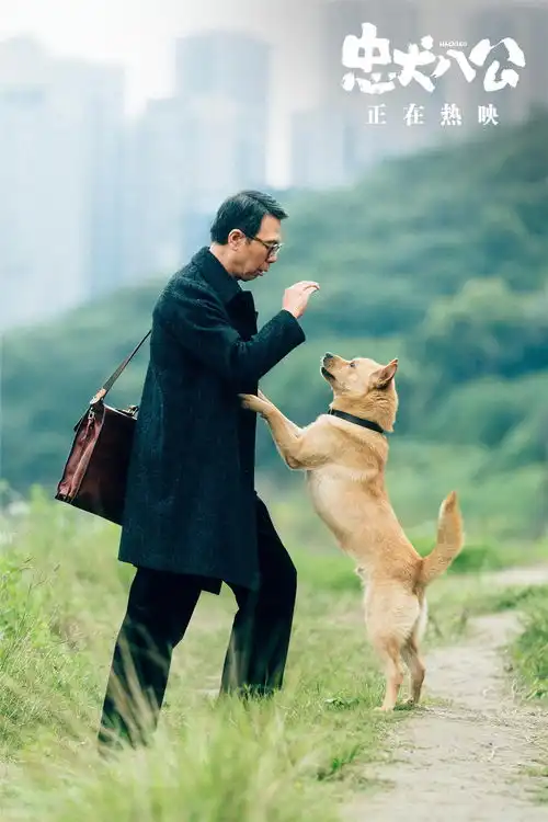 忠犬八公早就被剧透,但还是会哭成狗啊