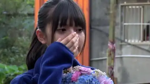 斋藤飞鸟那些年,我们一起追的女孩日版