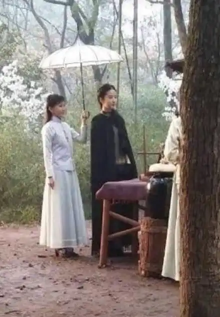 天仙就是天仙刘亦菲南烟斋笔录路透照曝光
