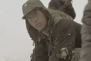 张默影视作品剧照
