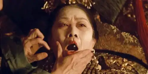 末代皇帝伯纳多贝托鲁奇紫禁城的黄昏
