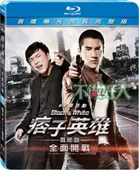 台湾痞子英雄之全面开战blackwhiteepisodeidvdbd完整版发行资讯
