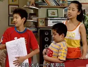 家有儿女刘星家到底多有钱00后喜欢的,都是当年刘星玩剩的