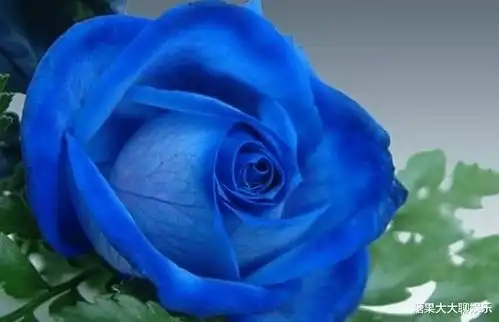 命运时好时坏,命运好的三个星座女,你在列吗
