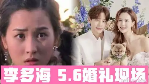 我的女孩周幼琳结婚了李多海5.6婚礼现场

