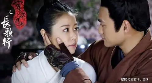 她年轻貌美,带10万大军陪嫁,帮丈夫夺得天下,最后却无辜被废