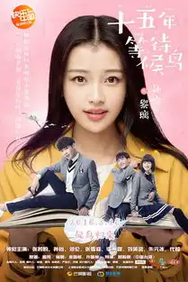 十五年等待候鸟重返校园偶像时代