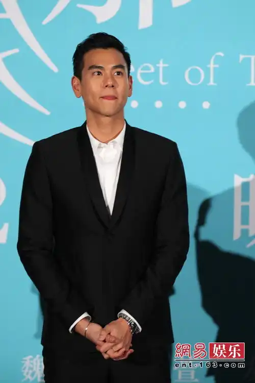 匆匆那年红毯王菲匆匆捧场黑超抢镜
