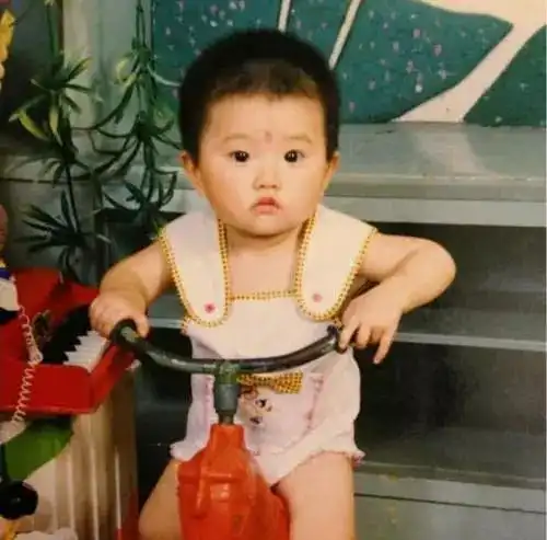 致童年回荡的记忆
