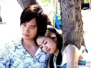 流星花园没想象中好看,那我只有期待接下来这几部了
