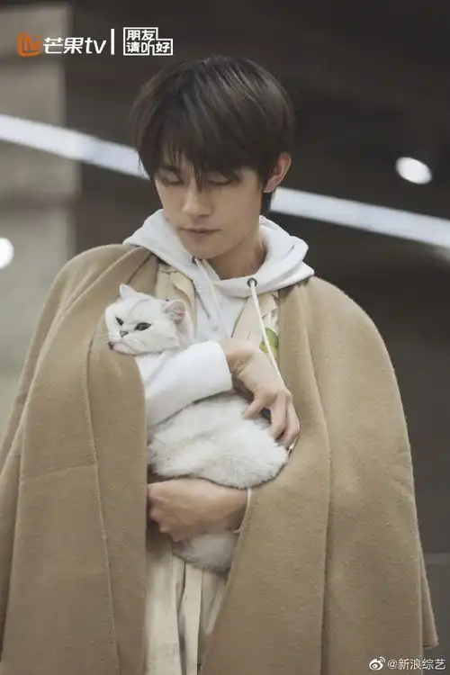 易烊千玺化身撸猫少年眼神超宠溺中国青年网
