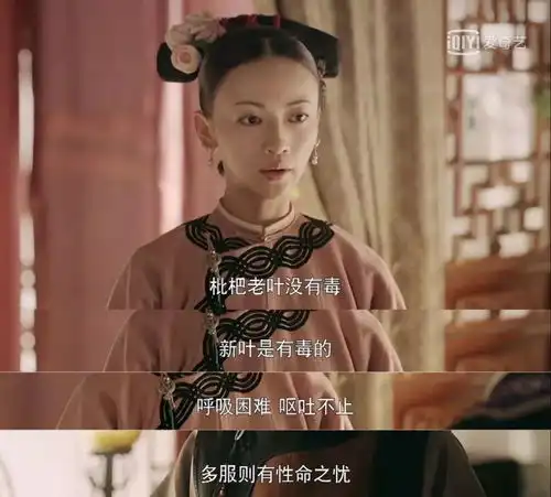 追延禧攻略停不下来剧中说枇杷新叶有毒,我看是这部剧有毒
