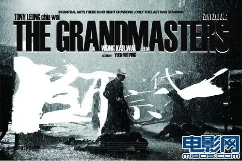 一代宗师柏林版海报梁朝伟章子怡秀功夫
