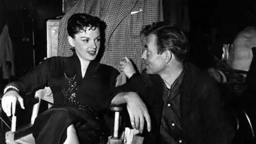 一个明星的诞生astarisborn19541905电影网
