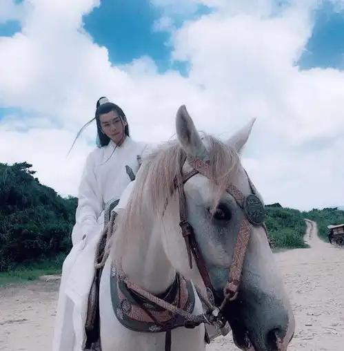 雪中悍刀行剧照放出,连小演员都这么会演,播出后又将成观众追剧预定
