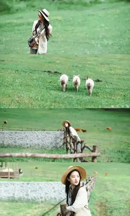 跟着有风去旅行