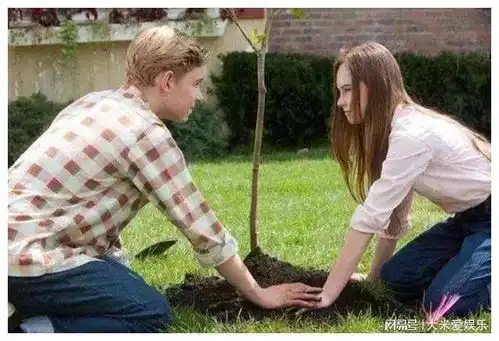 最适合恋人一起看的15部电影,每部都是经典爱情电影,收藏后重看