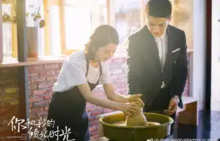 北京现代音乐研修学院毕业生金瀚携手赵丽颖主演热播剧你和我的倾城时光
