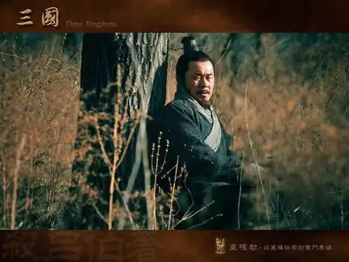 三国最厉害的暗器,吕布差点被其弄死,典韦用其杀敌众多
