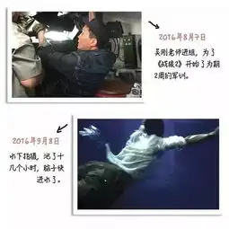 华语总票房第一战狼2差点瘫痪的功夫巨星揭吴京的战狼人生
