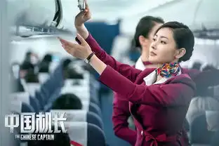 袁泉张天爱李沁中国机长剧照曝光形象无缝对接