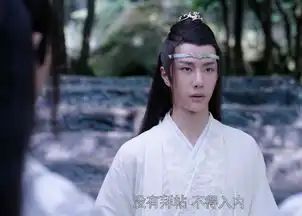 陈情令魏无羡和蓝忘机第一次相见,为何就待他不同
